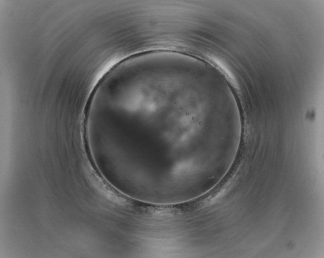 X0000091060899200708061239