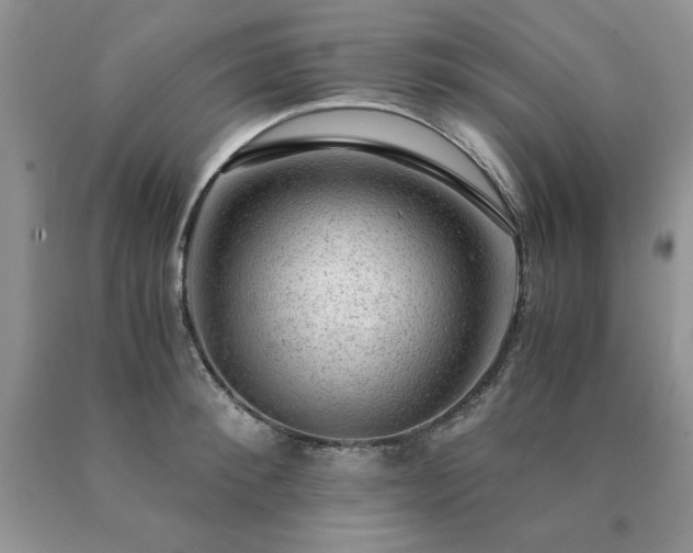 X0000091060900200708061239