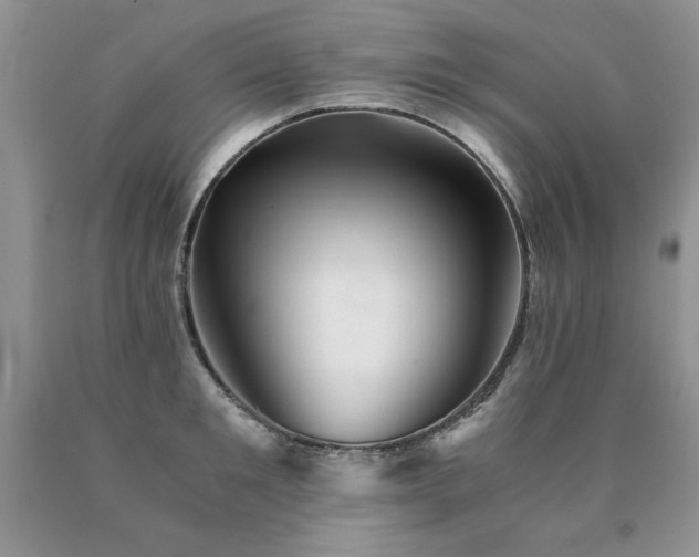 X0000091060901200708061239