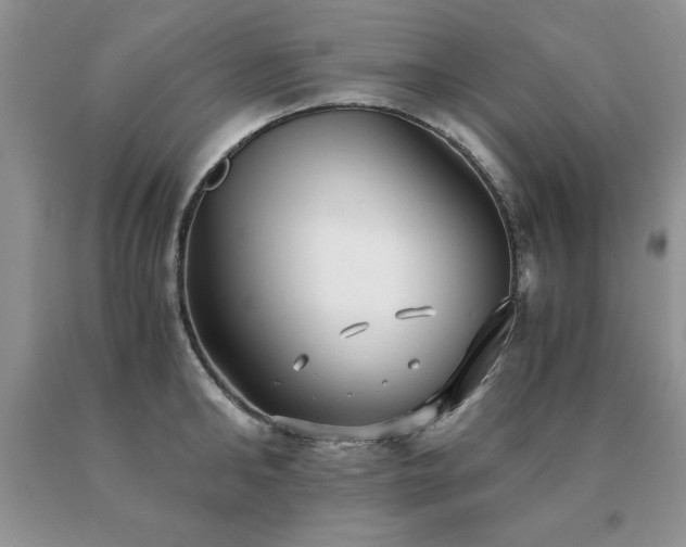 X0000091060902200708061239