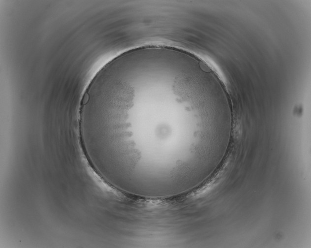 X0000091060903200708061239