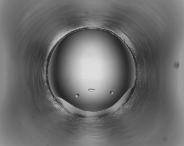 X0000091060904200708061239