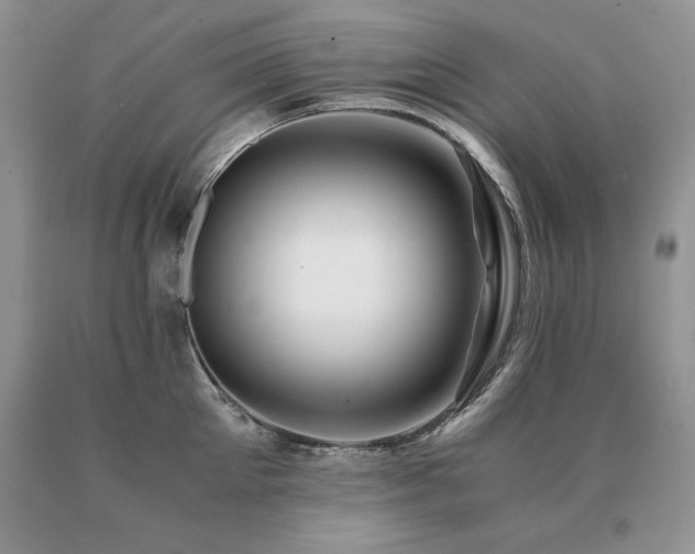 X0000091060905200708061239