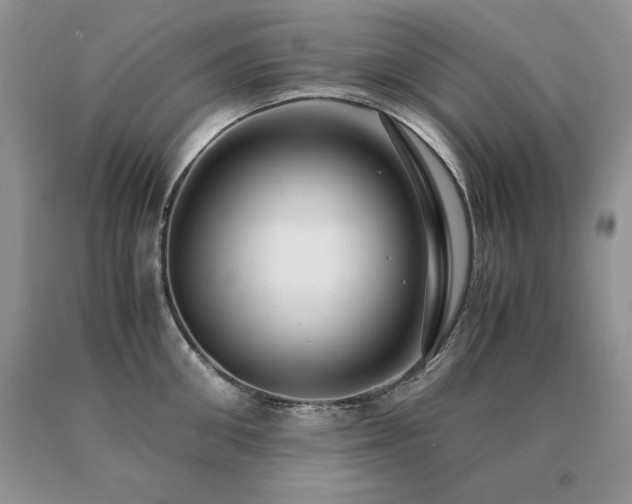 X0000091060906200708061239