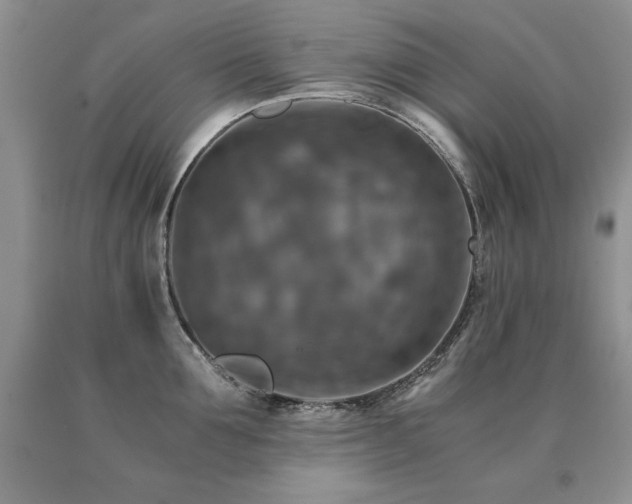 X0000091060907200708061239