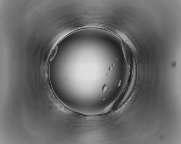 X0000091060908200708061239