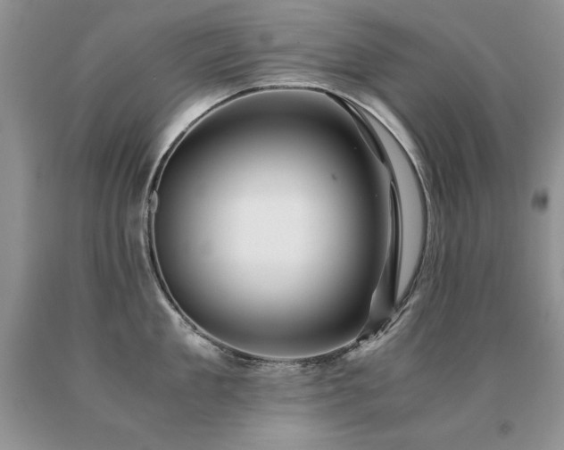 X0000091060909200708061239