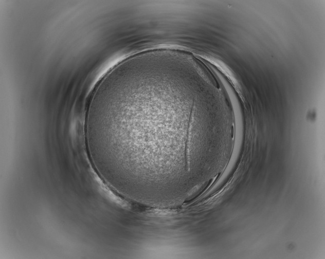 X0000091060910200708061239