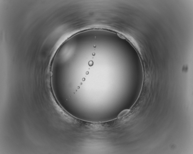 X0000091060911200708061239