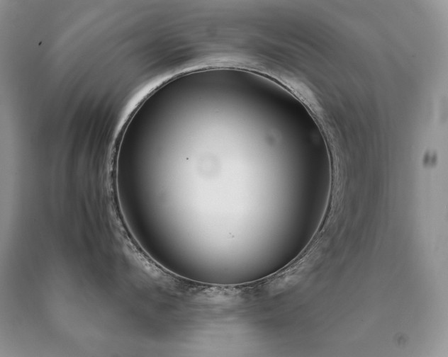 X0000091060912200708061239