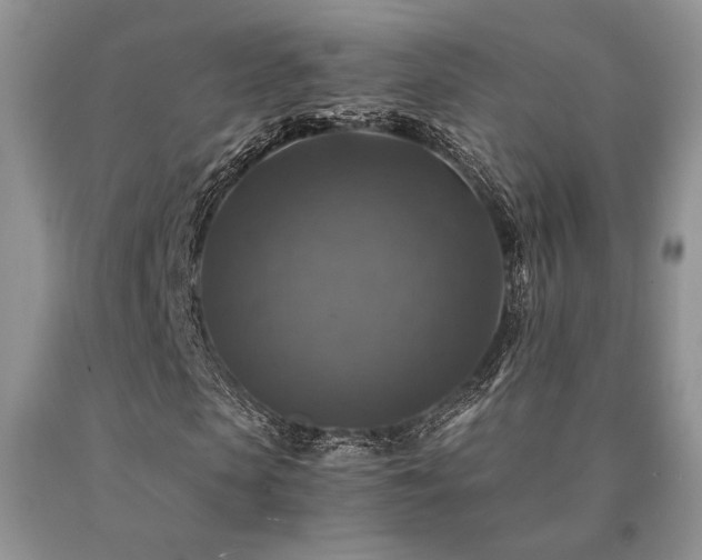 X0000091060913200708061239