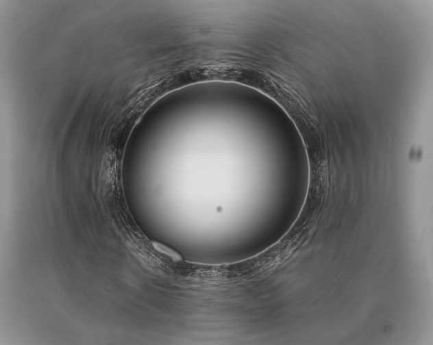 X0000091060914200708061239