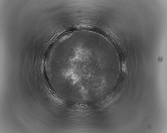 X0000091060915200708061239