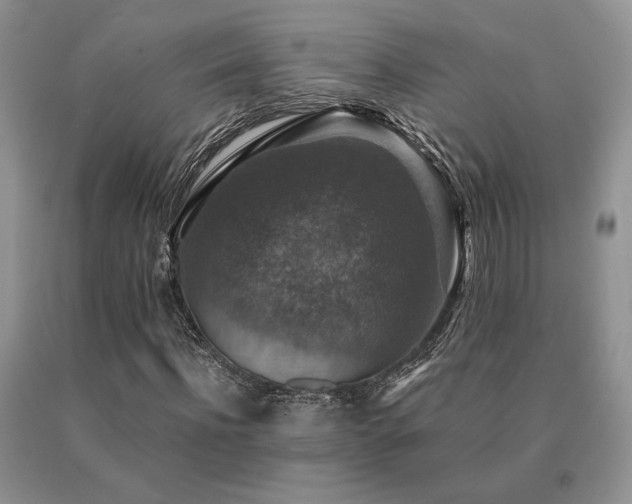 X0000091060916200708061239