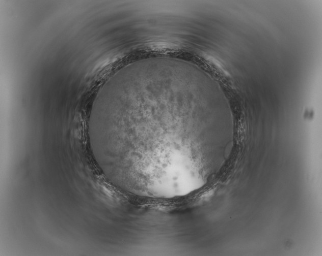 X0000091060917200708061239