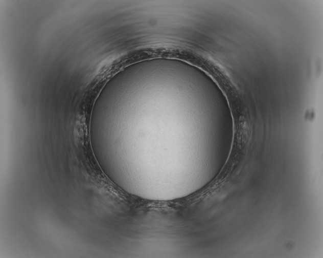 X0000091060918200708061239
