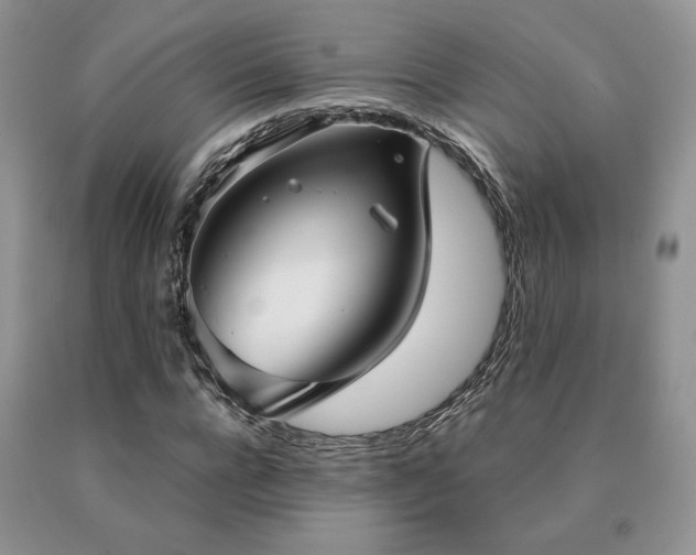 X0000091060920200708061239