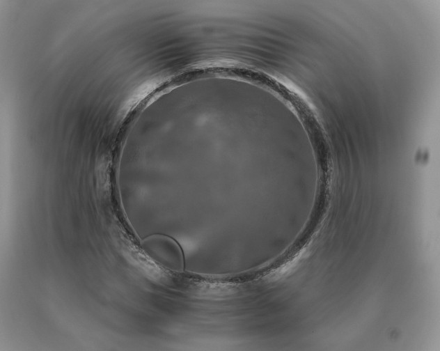 X0000091060921200708061239