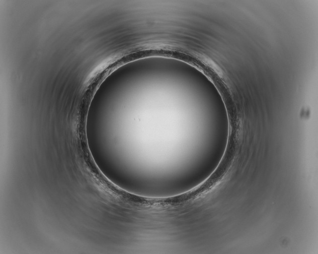 X0000091060922200708061239