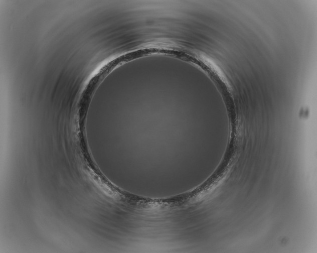 X0000091060923200708061239