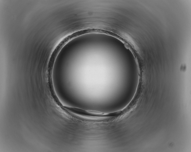 X0000091060924200708061239