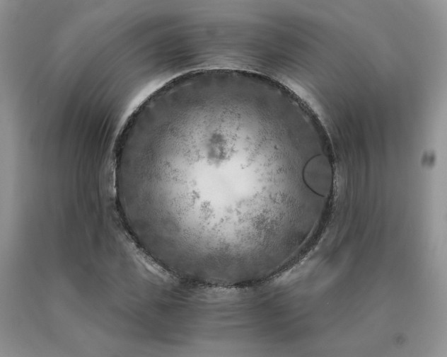 X0000091060925200708061239