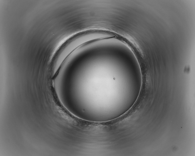 X0000091060926200708061239