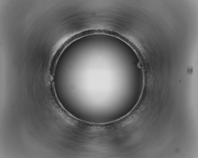 X0000091060927200708061239