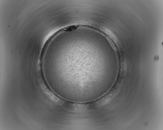 X0000091060928200708061239