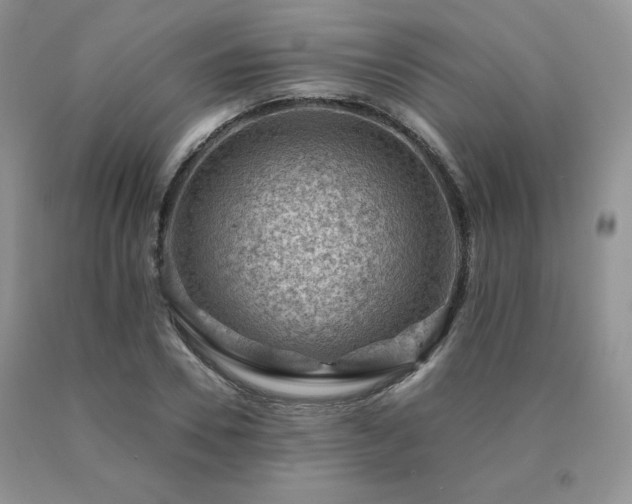 X0000091060930200708061239