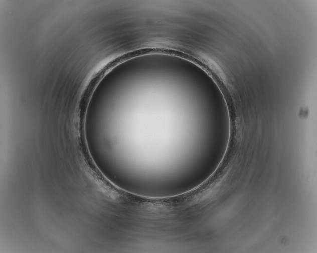 X0000091060931200708061239