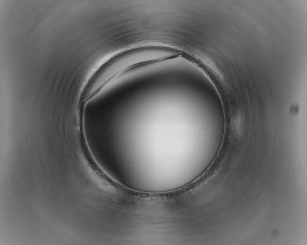 X0000091060934200708061239
