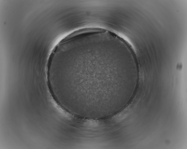 X0000091060935200708061239