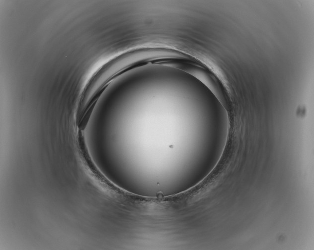 X0000091060936200708061239