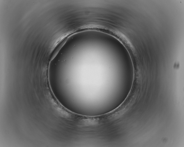 X0000091060937200708061239