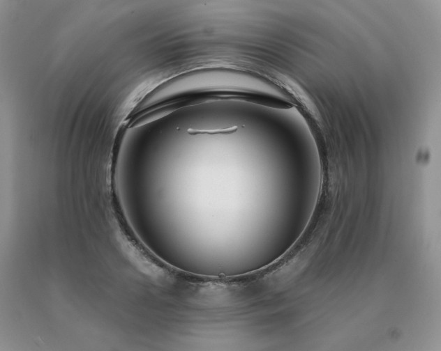 X0000091060938200708061239