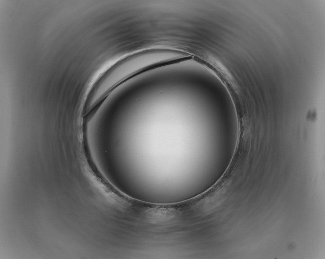 X0000091060939200708061239