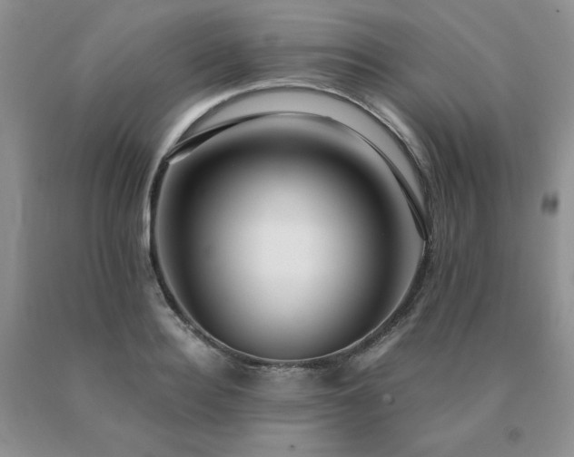 X0000091060940200708061239