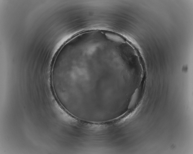 X0000091060941200708061239