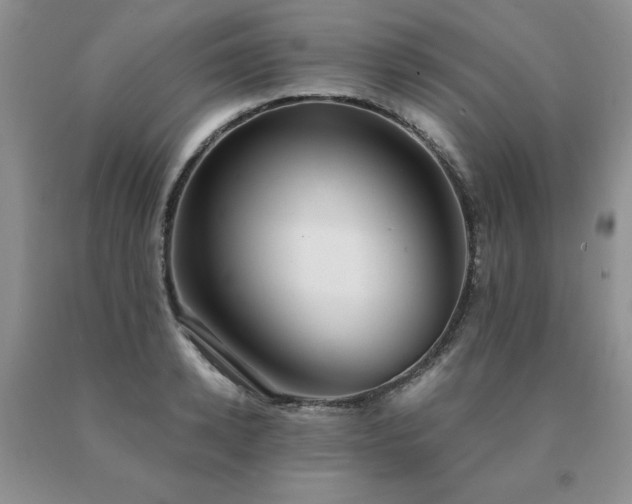 X0000091060942200708061239