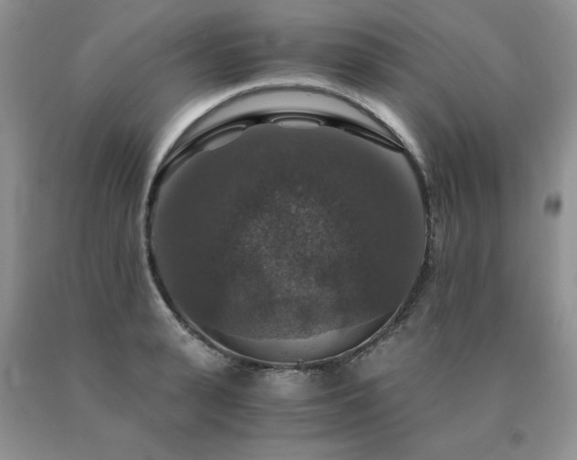 X0000091060943200708061239