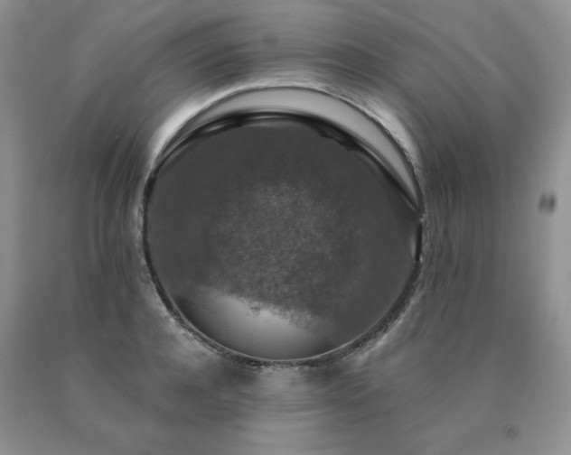 X0000091060944200708061239
