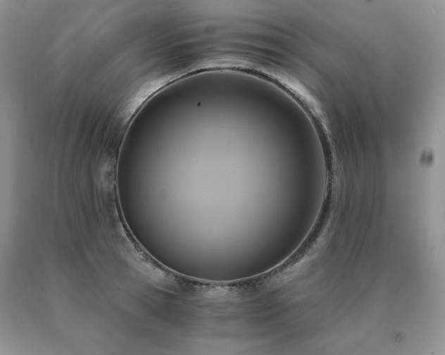 X0000091060945200708061239