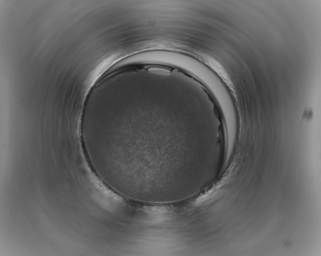X0000091060946200708061239