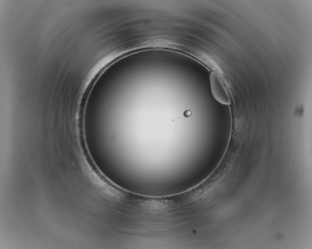 X0000091060947200708061239