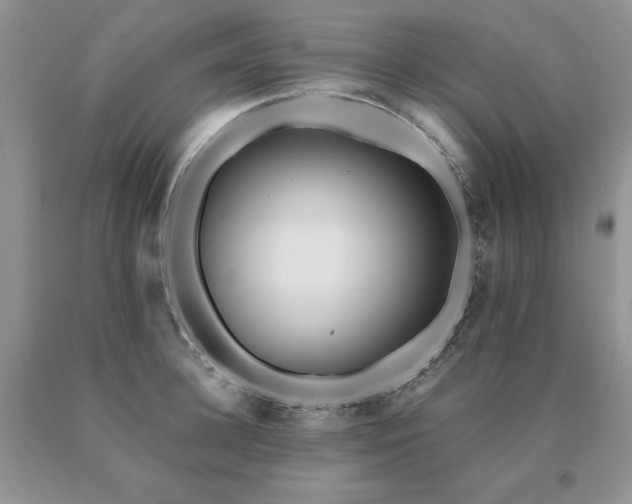 X0000091060948200708061239