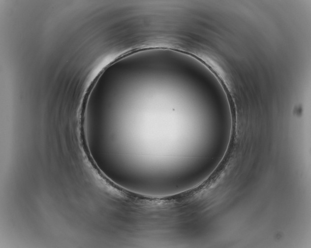 X0000091060949200708061239