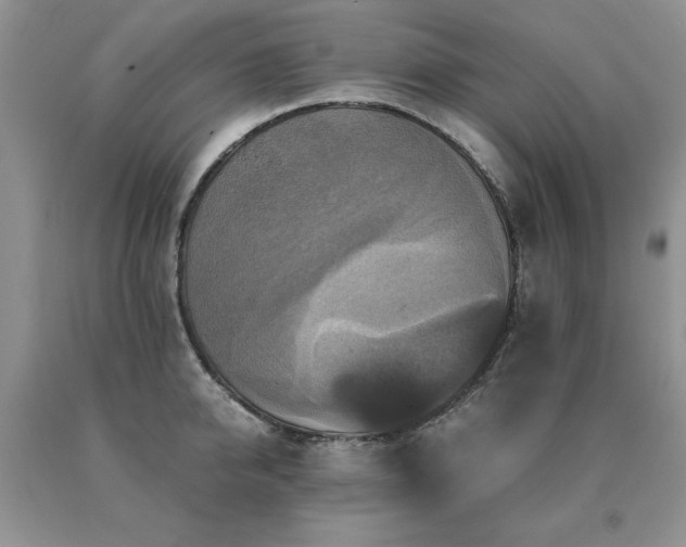 X0000091060950200708061239