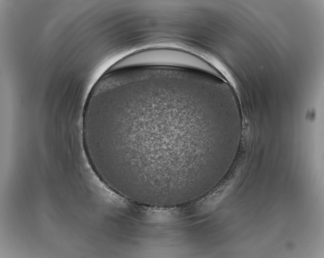 X0000091060951200708061239