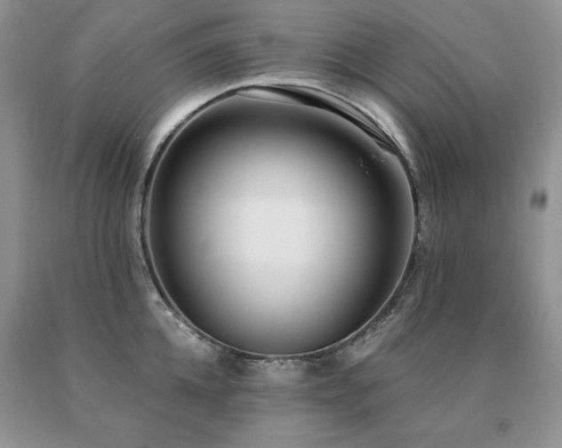 X0000091060952200708061239